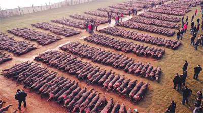 人们发现的奇怪东西