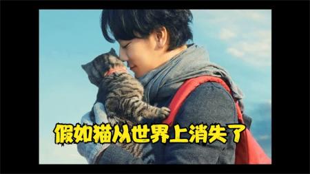 [文]剧情《假如猫从世界上消失了》电影解说文案