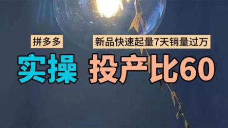 多多实战篇，落地实操金牌课进阶版，商家必学-课程-网盘资源分享