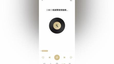 张泉灵《整本书阅读营》通用的阅读方法10讲-课程-网盘资源分享