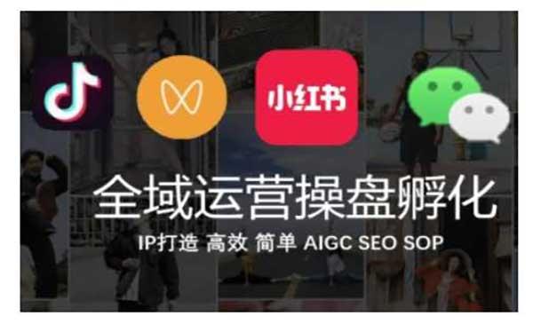 全域运营操盘手[吾爱首发]