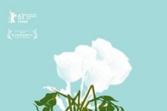 [原创][吾爱原创]剧情电影《如流星般闪亮》解说文案-[原创首发]-吾爱文案网