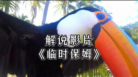 [文]喜剧电影《临时保姆》解说文案