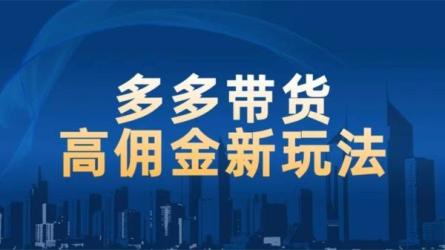 多多带货高佣金新玩法，一天300+，亲测玩法，保姆教学-课程-网盘资源分享