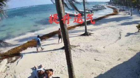 叙事改变训练营营：从被动到主动，让人生充满掌控感-课程-网盘资源分享