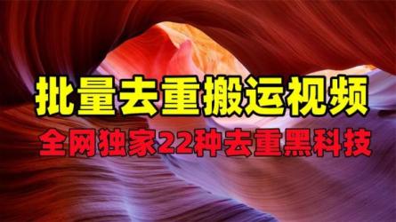 必过审搬运技术抖音快手B站通用自动剪辑一键去重暴力起...-课程-网盘资源分享