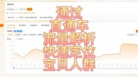 售价1299的电商赚钱类目画像方法论，老板和运营必学课程-课程-网盘资源分享