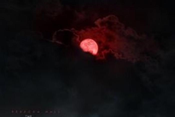 [原创][吾爱原创]恐怖片《夜间小屋》电影解说文案-[原创首发]-吾爱文案网