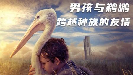 [文]剧情《鹈鹕的故事》电影解说文案 解说素材