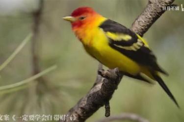 天涯神贴最全合集-课程-网盘资源分享