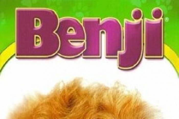 [原创][吾爱原创]剧情《狗侦探》电影解说文案-[原创首发]-吾爱文案网