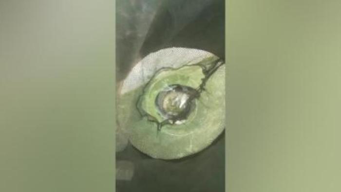 [原创][独家原创]剧情《昨日的果实》电影解说文案-[原创首发]-吾爱文案网