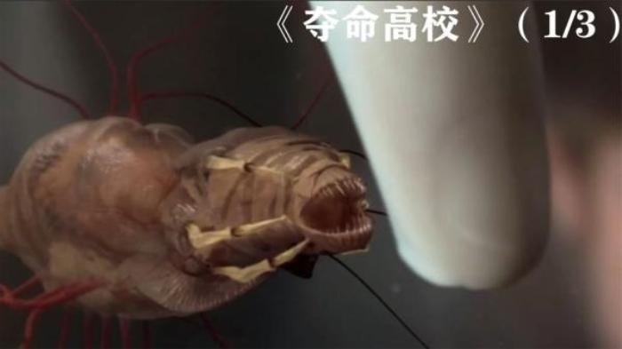 《老师不是人》他捡到一条奇异的虫子，发现老师突然变得脾气古怪，这是怎么回事电影解说文案-[原创首发]-吾爱文案网