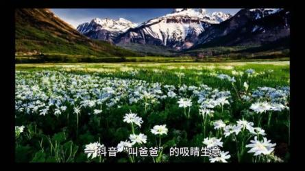 抖音暴利项目全曝光揭秘5个月入1万+的项目]_55-课程-网盘资源分享