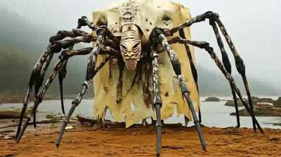 世界上6种罕见蜘蛛，你可能一辈子没有见过！