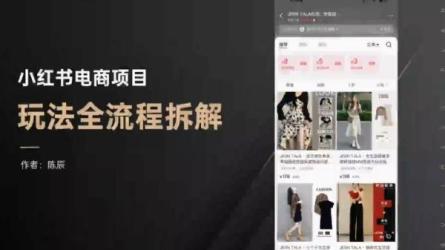 小红书品牌营销专项大课，操盘手进阶课，价值699元-课程-网盘资源分享