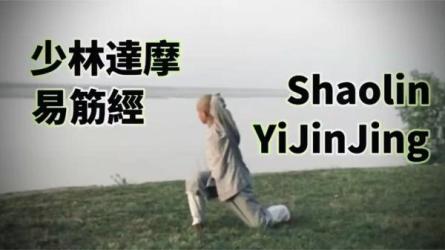 少林达摩易筋经-课程-网盘资源分享