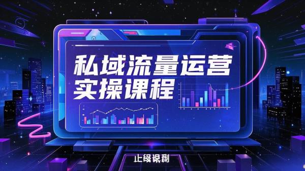 [原创]私域流量运营实操课S[吾爱独家]