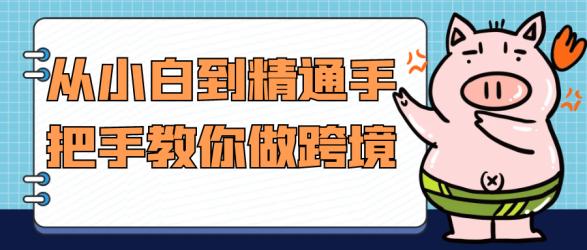 从小白到精通手把手教你做跨境【吾爱】