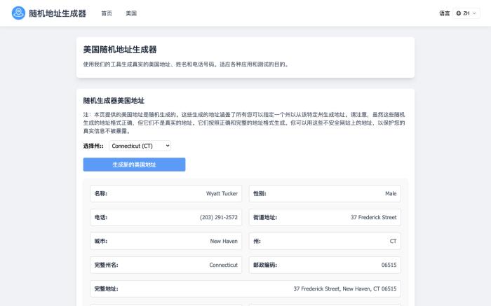 Random Address Generator 随机地址生成器[吾爱神器]