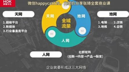 张琦：流量掘金探索全渠道...GET全网增长密码-课程-网盘资源分享