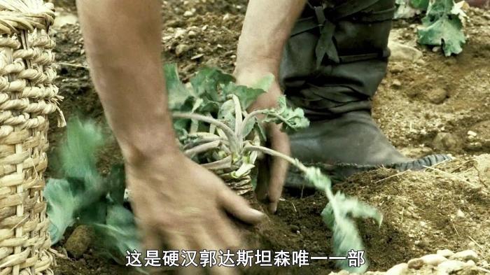 《地牢围攻》野兽军团血洗村庄，惹怒了农夫惨遭灭亡！_《《地牢围攻I》_乌维·鲍尔_杰森·斯》-[原创首发]-吾爱文案网