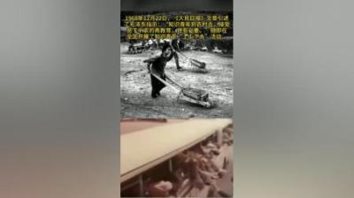 [视]1956年，毛主席为何号召知青下乡？纵观全局，伟人真是高瞻远瞩