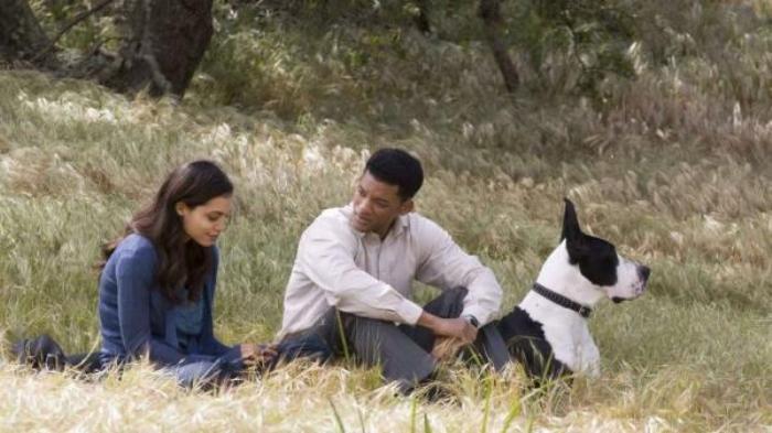 「熊猫」四分钟看完电影《七磅》他车祸害死7人，为赎罪将器官捐给陌生人电影解说文案-[原创首发]-吾爱文案网