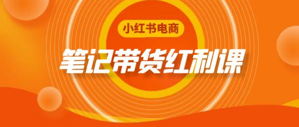 小红书电商笔记带货红利课【吾爱】