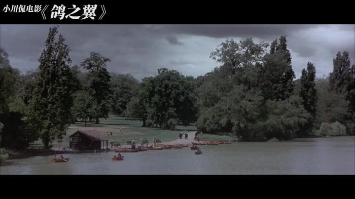 冷门佳片：孤独的白富美得了绝症，心机闺蜜让帅气男友诱骗财产_《鸽之翼》-[原创首发]-吾爱文案网