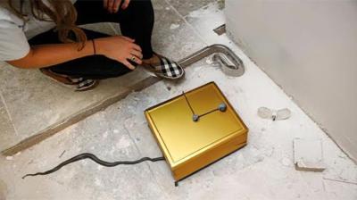 人们在药柜后面的房子里发现了一个保险箱，所以他们决定打开它