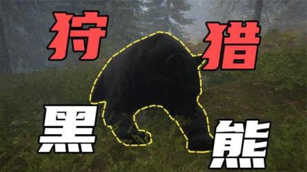 抖音森林马拉松在线值播互动项目-课程-网盘资源分享