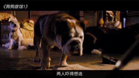 [文]剧情电影《狗狗旅馆》解说文案 解说稿