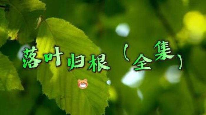 [原创][独家原创]剧情电影《落叶归根》解说文案片源地址（落叶归根电影剧本）-[原创首发]-吾爱文案网