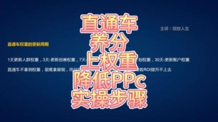 售价998的直通车降低PPC秘籍，彻底了解直通车隐藏的规律-课程-网盘资源分享