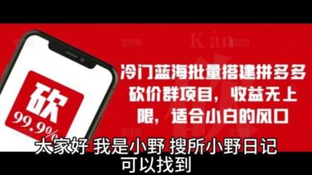 拼多多砍价项目，一个号一天纯赚40+适合新手0门槛-课程-网盘资源分享