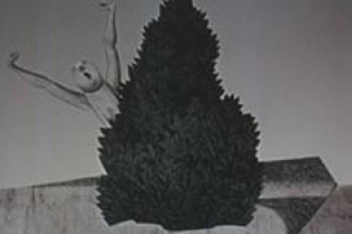 [原创][吾爱原创]剧情《卡布里尼》电影解说文案-[原创首发]-吾爱文案网