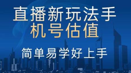 抖音财神爷AI智能值播间：不出镜收礼物，撸音浪带货-课程-网盘资源分享