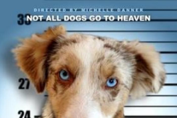 [原创][吾爱原创]喜剧电影《猎犬强盗》解说文案-[原创首发]-吾爱文案网