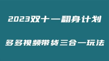 多多视频带货2023最新玩法全套课程，轻松月入3万+-课程-网盘资源分享