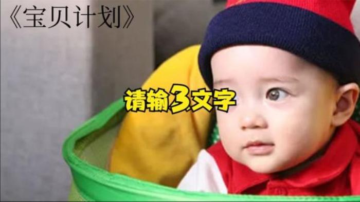 几分钟看完《宝贝计划》还记得这个小宝贝吗？电影解说文案-[原创首发]-吾爱文案网