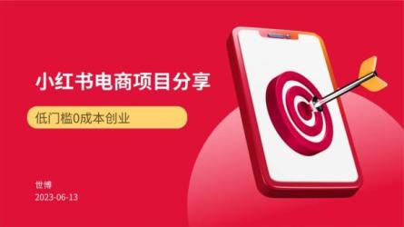 小红书电商项目：从小白到精英-课程-网盘资源分享
