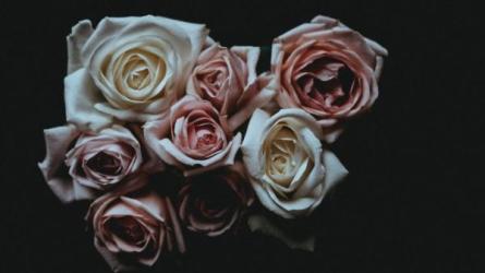 只讲你听得懂的防癌知识视频，实用易懂，和知识做朋友...-课程-网盘资源分享