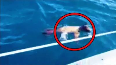 他们在拍摄海洋时，发生了一件你一生只能看到一次的事情