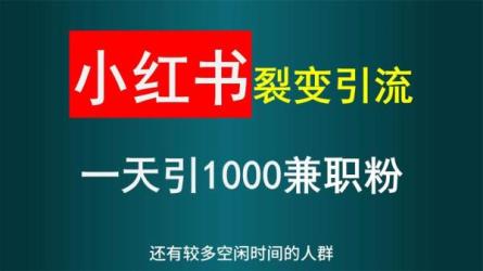 小红书受气包玩法，一分钟一块钱，日入1000+-课程-网盘资源分享