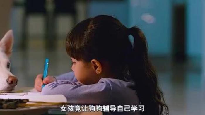 [原创][独家原创]剧情《我的流浪狗》电影解说文案解说素材-[原创首发]-吾爱文案网