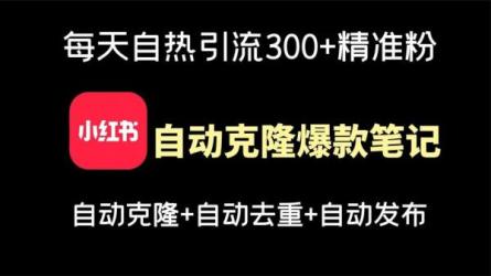 小红书训练营（第十期）可以轻松复制的小红书运营方法-课程-网盘资源分享