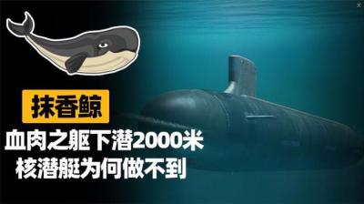 为啥鲸鱼血肉之躯可以下潜2000米，坚固的潜艇却会被压扁？