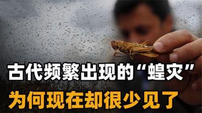 遭遇蝗灾时，为什么古代人宁愿饿死也不吃蝗虫？古人早就想到了