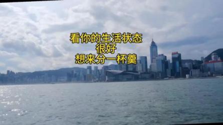 婚恋情感IP运营变现课-课程-网盘资源分享